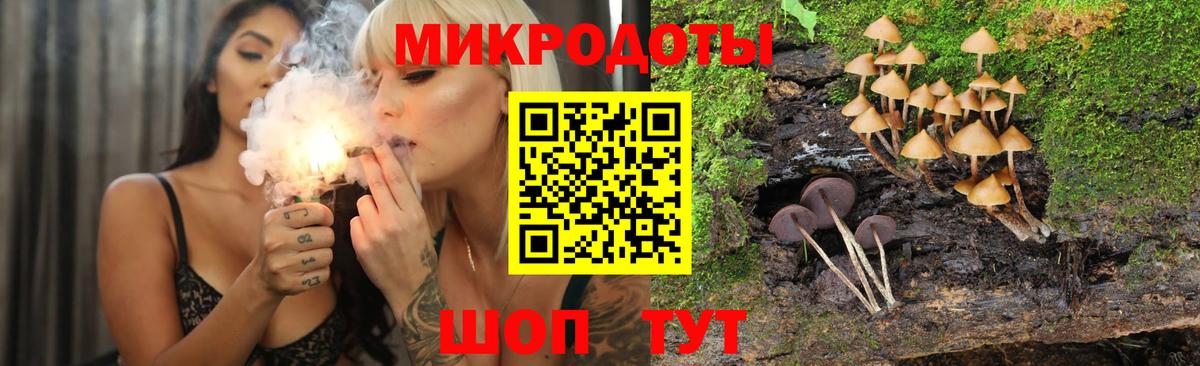 дарнет шоп  Псилоцибиновые грибы Psilocybine cubensis  Вход с VPN  Псилоцибиновые грибы мицелий  Торжок 