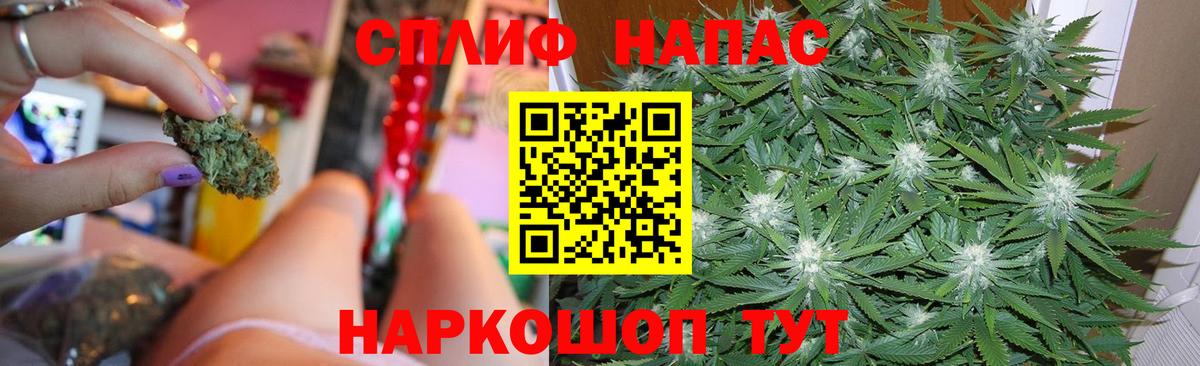 Конопля Amnesia  Вход с VPN  Торжок  МАРИХУАНА планчик  Бошки марихуана White Widow  Конопля Bruce Banner 